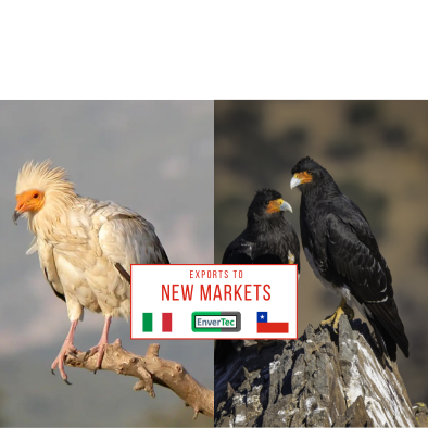 New Markets in ITALY & CHILE_ Exports of Specific Materials
