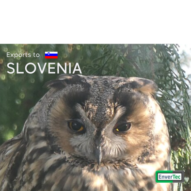 SLOVENIA - New European Market