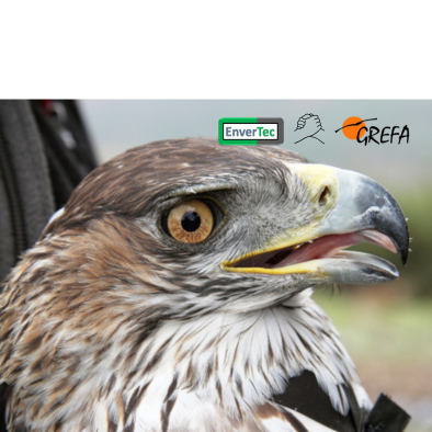 Collaboration GREFA&Envertec