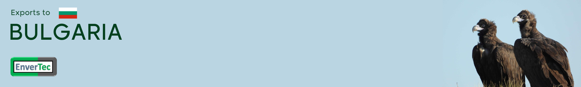 News_Bulgaria_Buitres