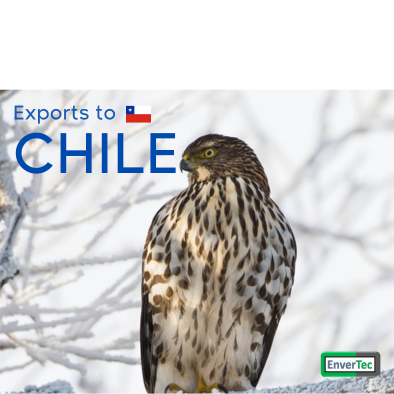 CHILE Exports