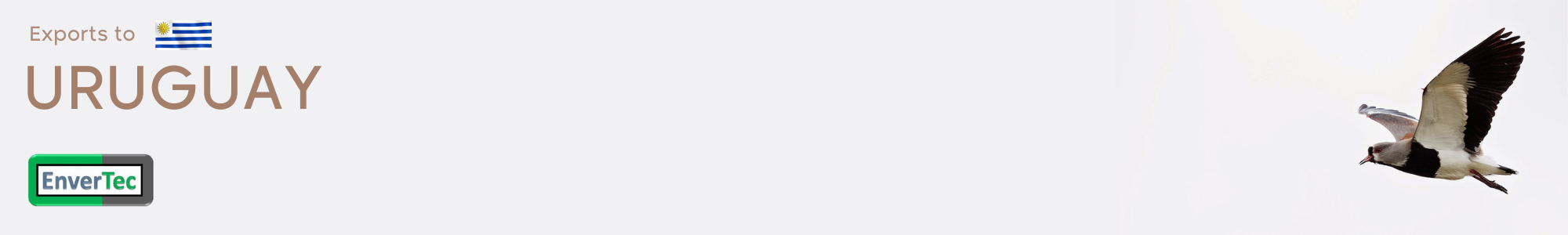 News_Uruguay_Banner