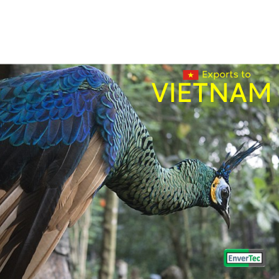 VIETNAM - New Markets in Asia