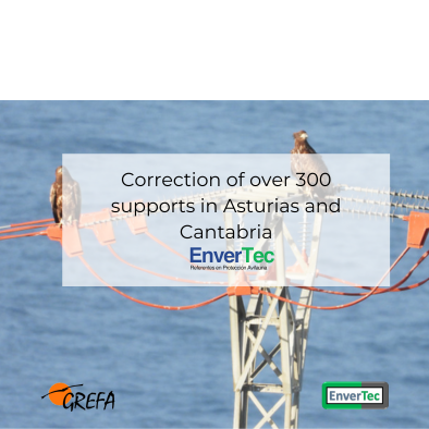 Utilization of EnverTec materials for the Pigargo Project