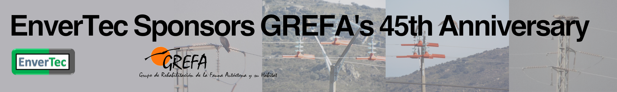 News_GREFA45_1