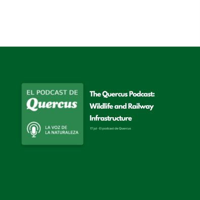 EnverTec Featured on the Quercus Podcast